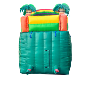 Tropical Inflatable Slides